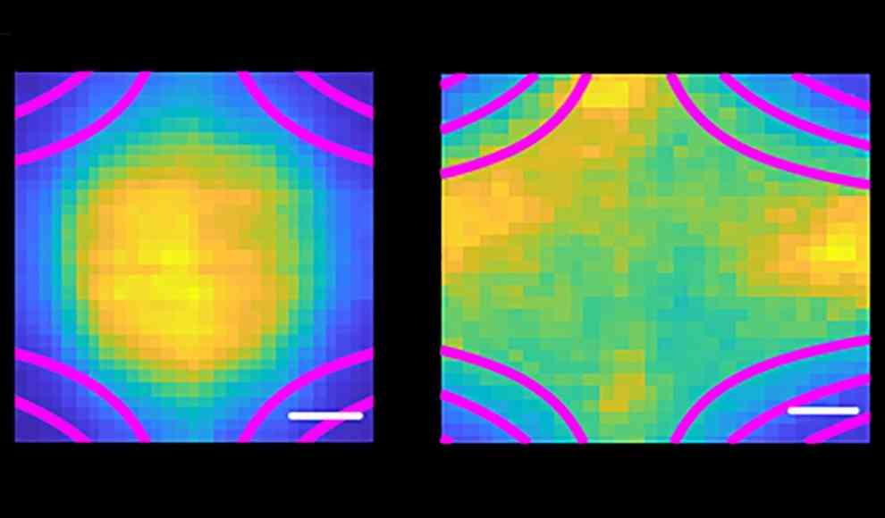 Magnetfelder halten das ultrakalte, neutrale Plasma (links)