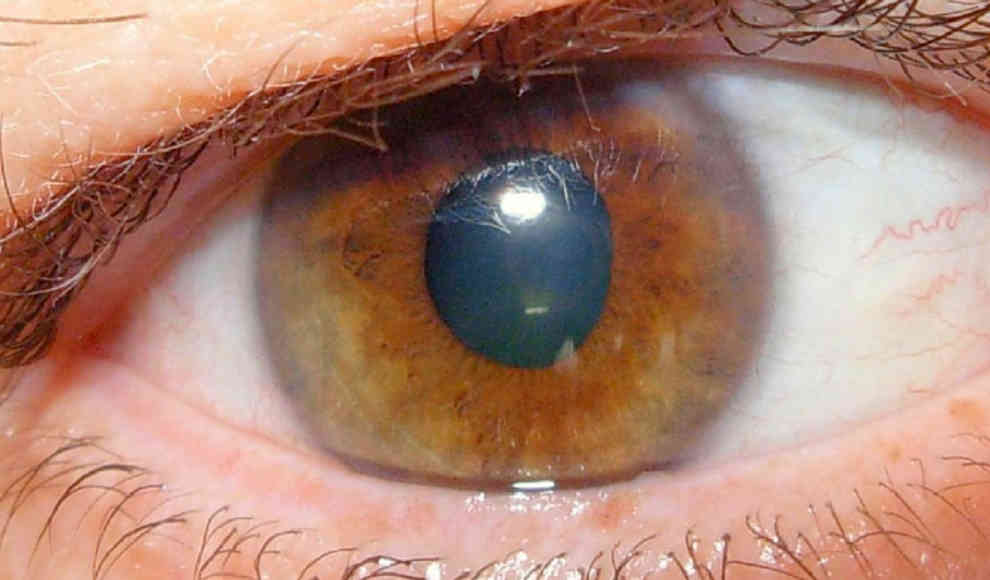 Braune Augen sind vertrauenswürdiger als blaue Augen
