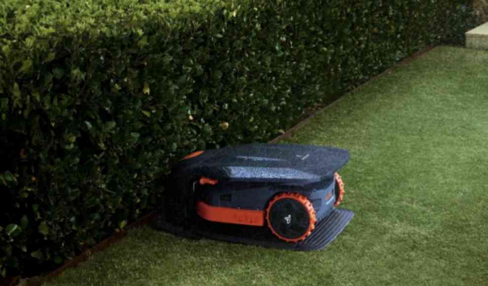 Wenn Ihr Rasen dies tut, pflegen Sie ihn wahrscheinlich gut