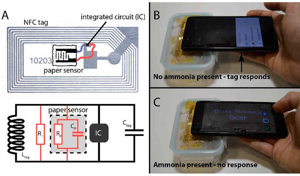 Sensor zeigt Lebensmittel-Haltbarkeit auf Smartphones