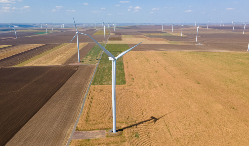 Intelligente Windräder vermeiden Vogelkollisionen