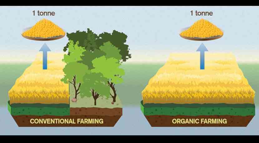 Ökologische Landwirtschaft beschleunigt den Klimawandel