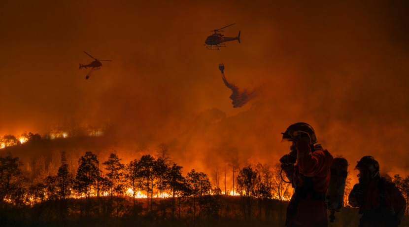 Klimawandel-erh-ht-Risiko-f-r-parallele-Waldbr-nde-auf-mehreren-Kontinenten