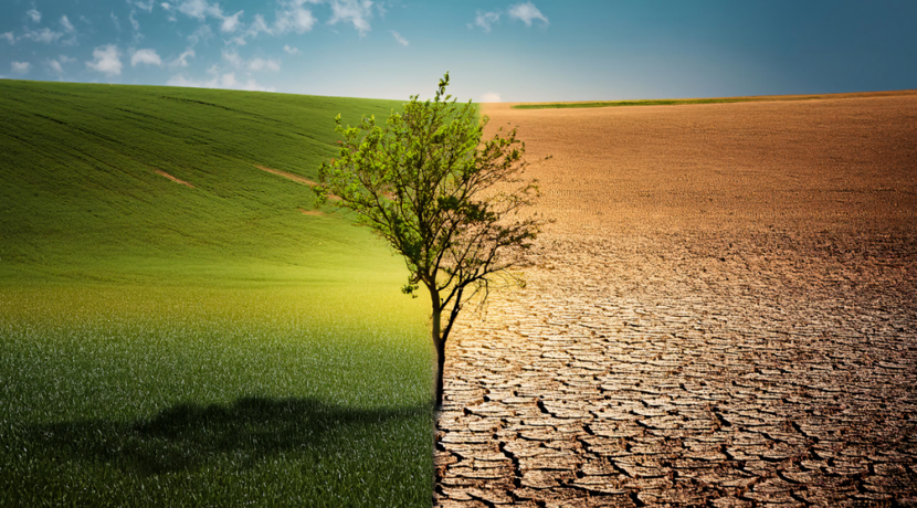 Sachliche-Informationen-k-nnen-auch-Klimawandelleugner-berzeugen