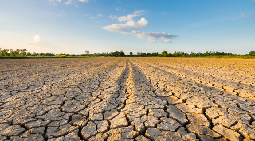 Klimawandel-reduziert-Ernten-der-Landwirtschaft-stark-aber-nicht-berall