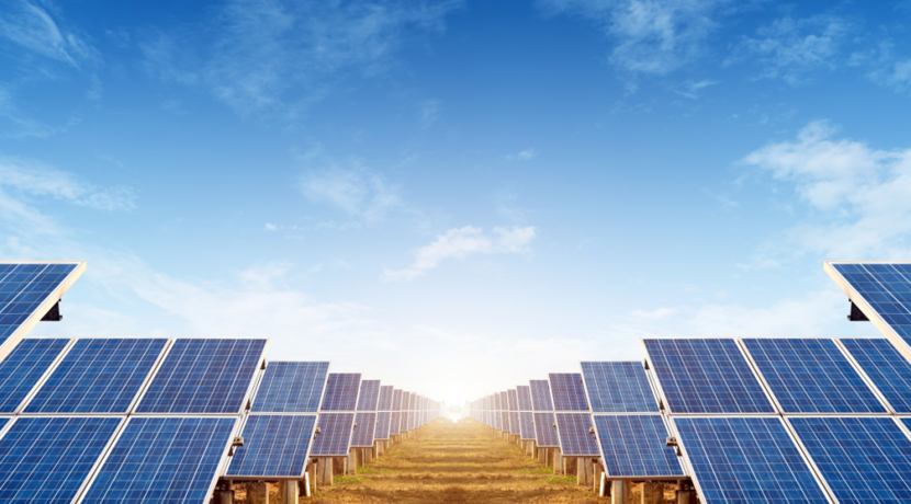 Wie-beeinflussen-Solarparks-ihre-lokalen-kosysteme-