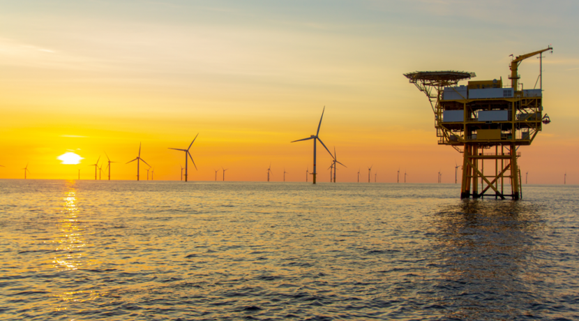 Bedrohung-oder-Nutzen-Profitieren-Fische-von-Windparks-im-Meer-