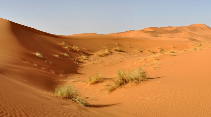 Klimawandel-sorgt-f-r-mehr-Regen-in-der-Sahara