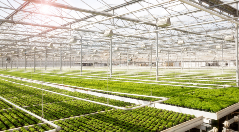 Umweltfreundlichkeit-von-deutschen-Lebensmitteln-wird-oft-bersch-tzt