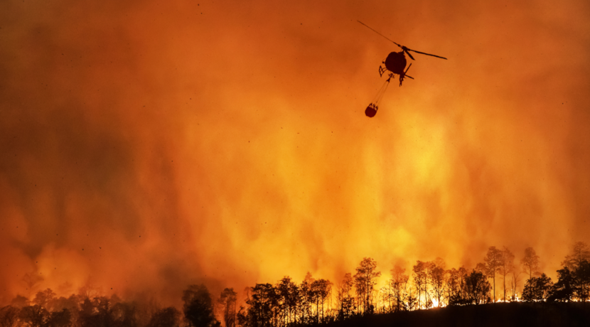 Wald-und-Buschbr-nde-haben-gr-ere-Auswirkungen-auf-die-Luftqualit-t