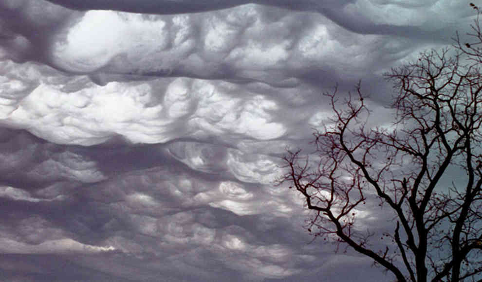 Wolke: Undulatus asperatus