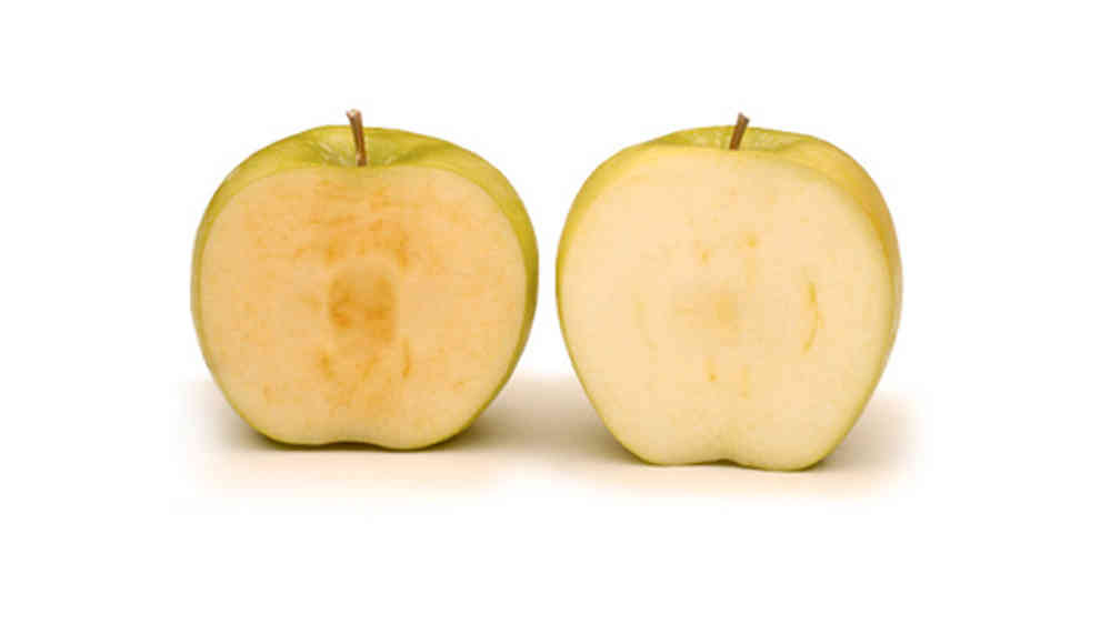 Genetisch verändert: US-Behörden genehmigen immergrünen Apfel
