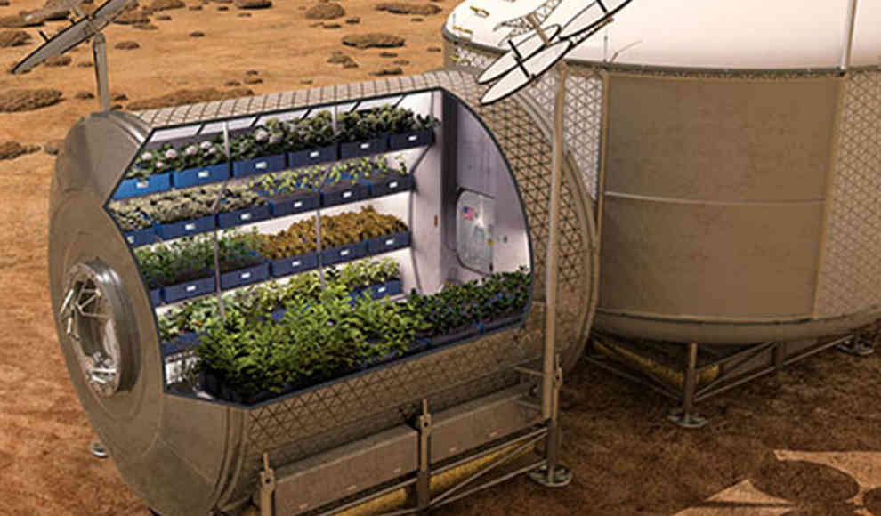 Erste Ernte von Gemüse und Kräutern auf Marsboden