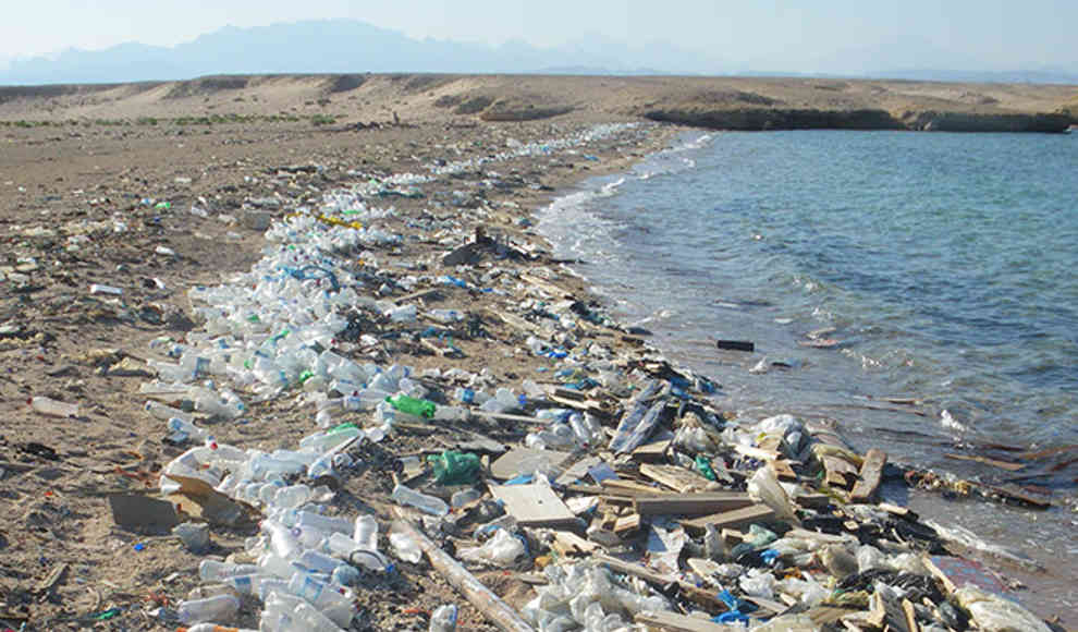 Bio-Kunststoffe könnten Plastikverpackungen ersetzen