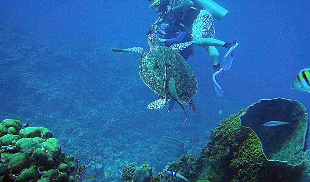 Belize Barrier Reef