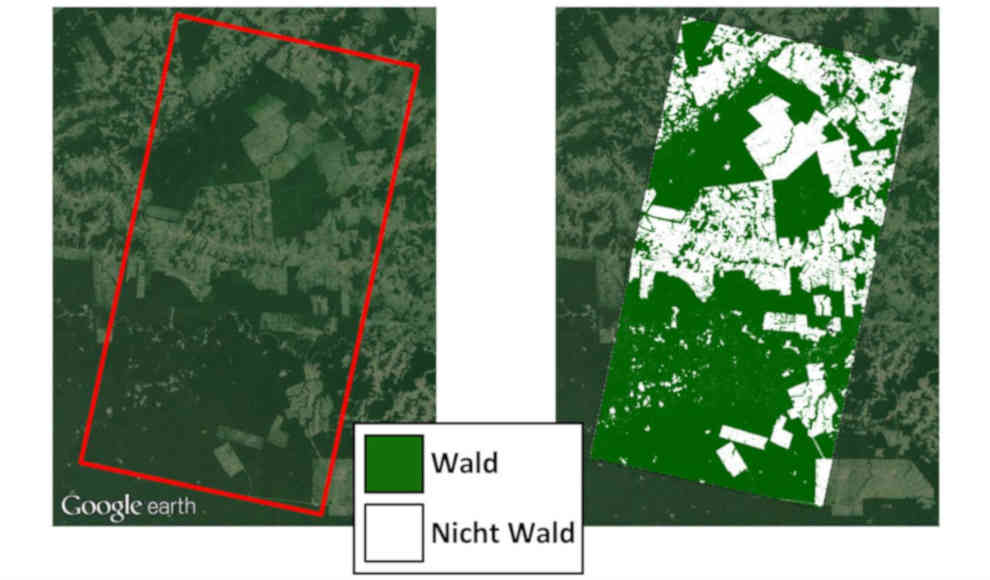 Satellitenbilder zeigen erstmals die globale Abholzung der Wälder