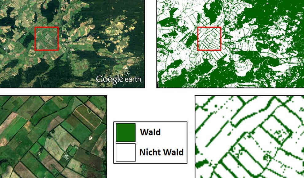 Satellitenbilder zeigen erstmals die globale Abholzung der Wälder