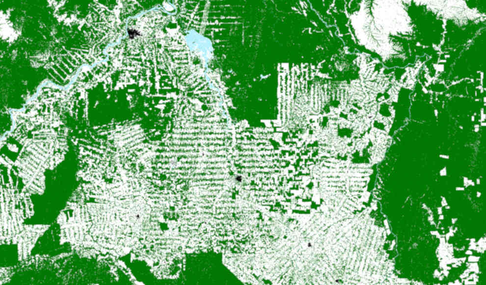 Satellitenbilder zeigen erstmals die globale Abholzung der Wälder