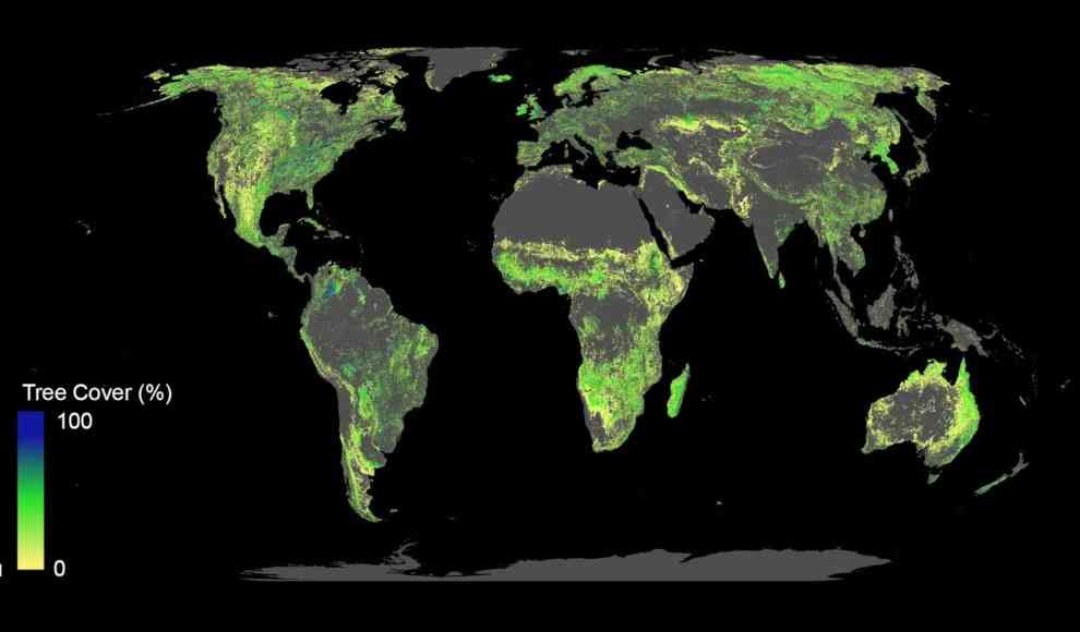 900 Milliarden Hektar, die für neue Wälder nutzbar wären