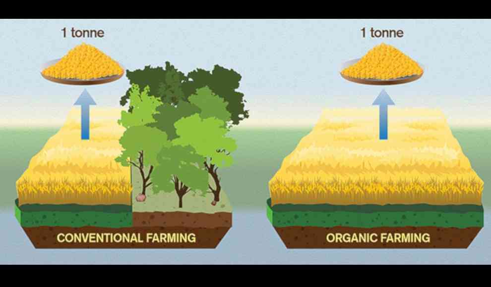 Ökologische Landwirtschaft beschleunigt den Klimawandel 