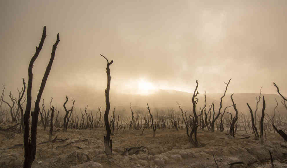 Temperaturrekorde und Hitzewellen durch Klimawandel immer häufiger