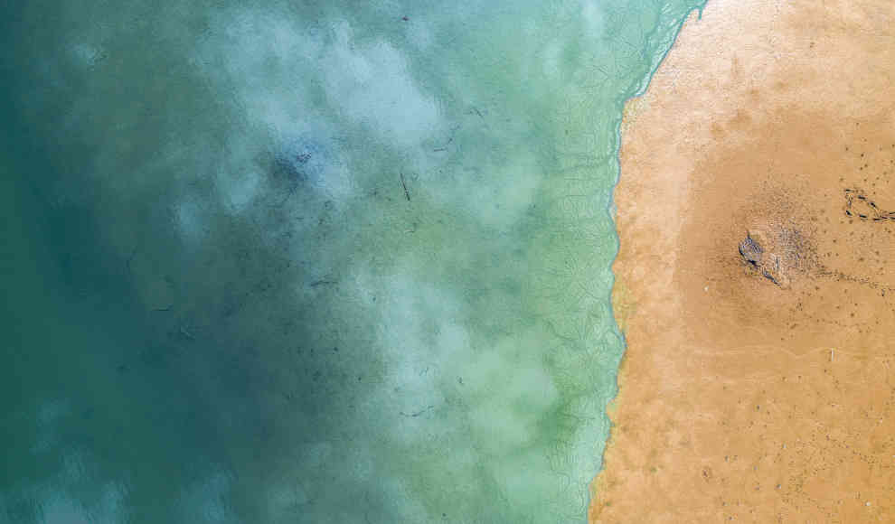 Phytoplankton beeinflusst Farbe der Meere