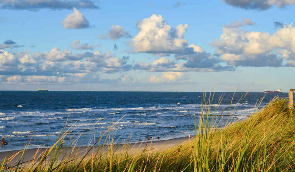 Baltic Sea Action Plan (BASAP)