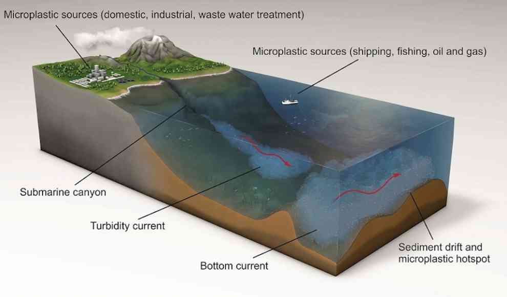 Mikroplastik wird durch die Tiefseeströmung konzentriert