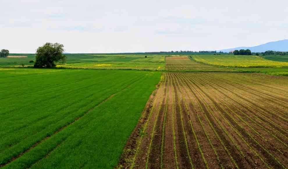 Plastikverschmutzung belastet deutsche Felder