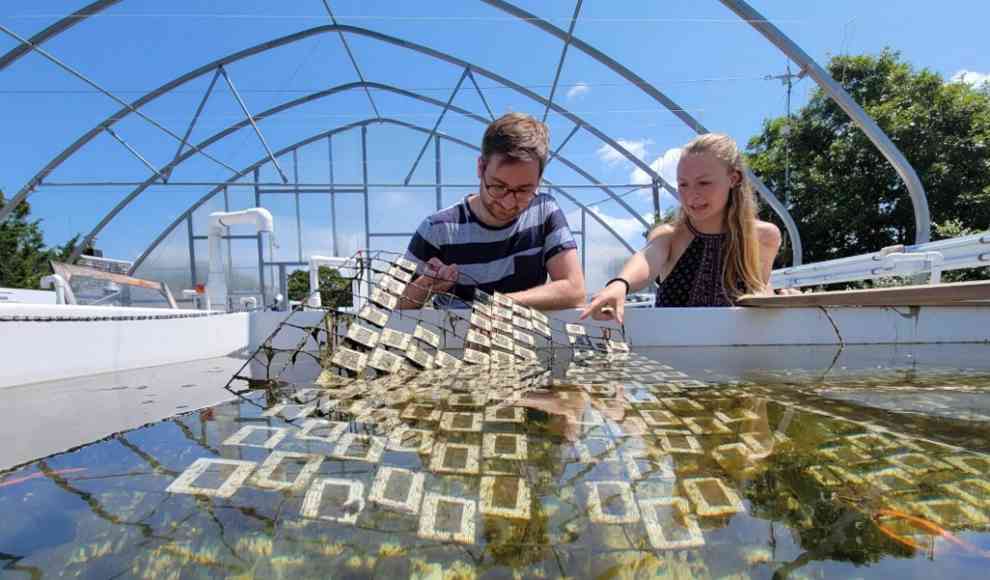 Experiment mit Plastik unter dem Sonnenlicht