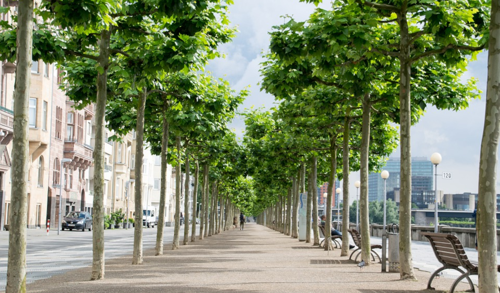 Umweltzone in Düsseldorf (Symbolbild)