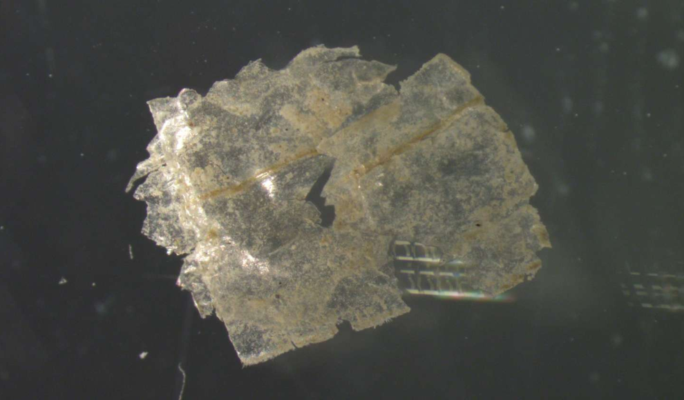 Mikroplastik aus dem Kurilen-Kamtschatka-Graben 