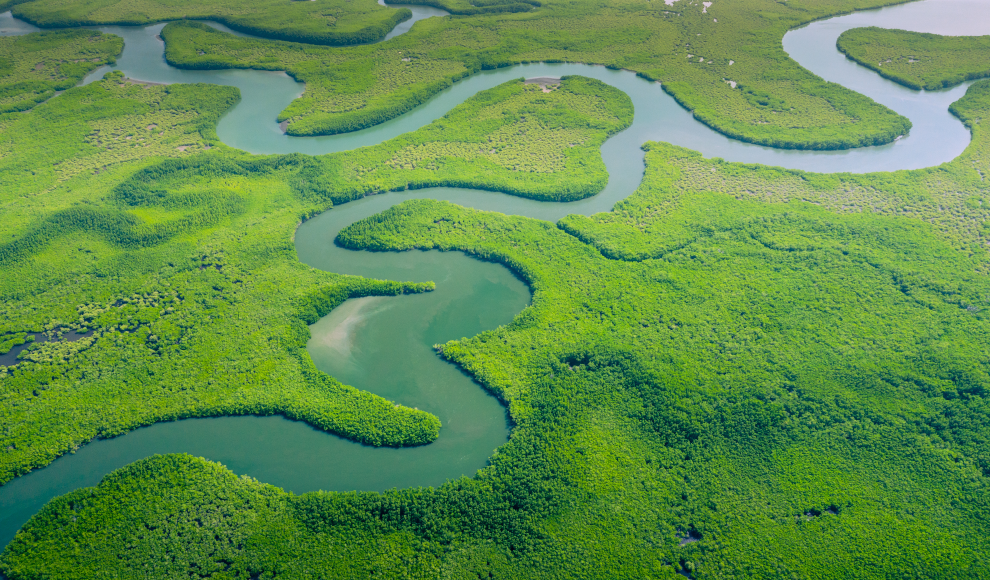 Amazonas in Brasilien