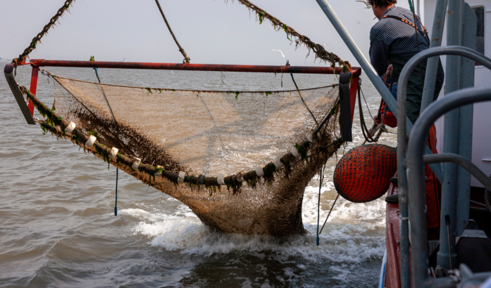 Grundschleppnetzfischerei in der Nordsee