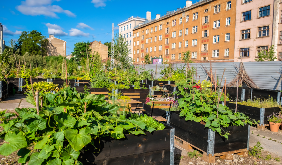 Urban Gardening