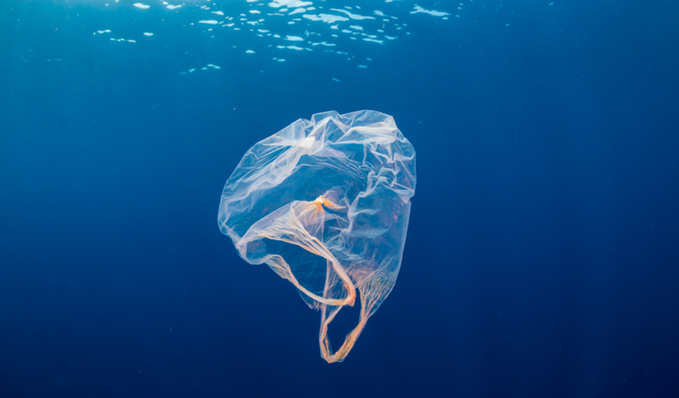 Plastikmüll im Meer