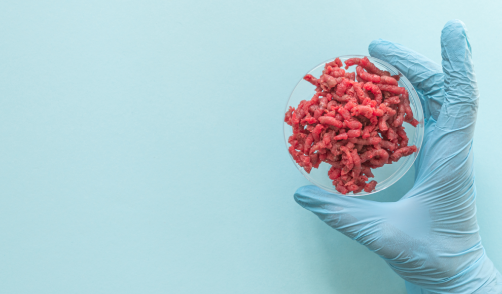 In-vitro-Fleisch ist nicht vegan