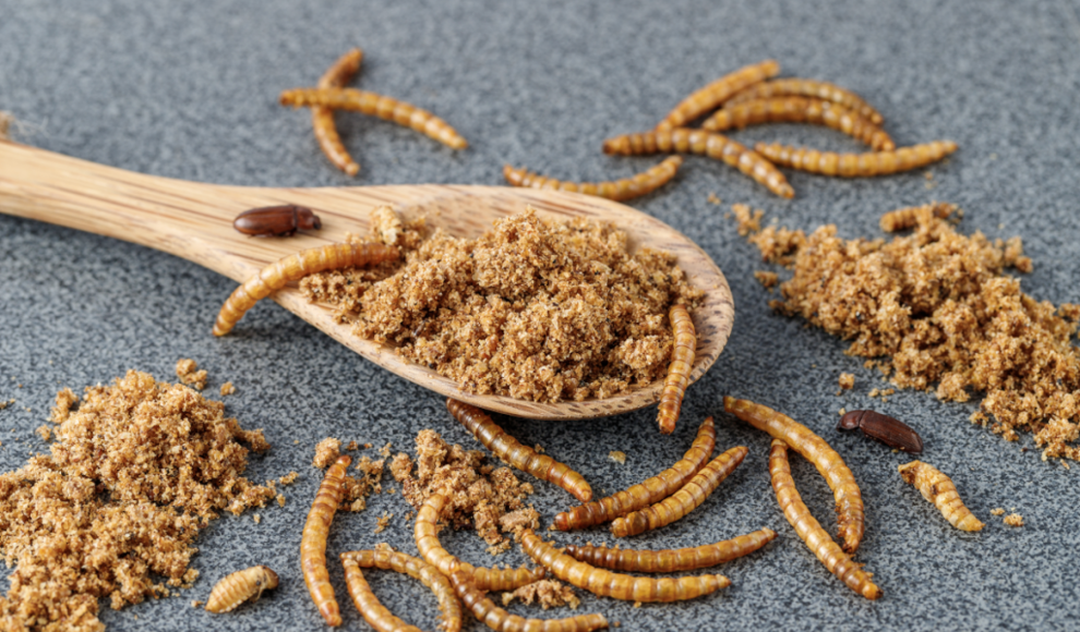 Insekten als Lebensmittel