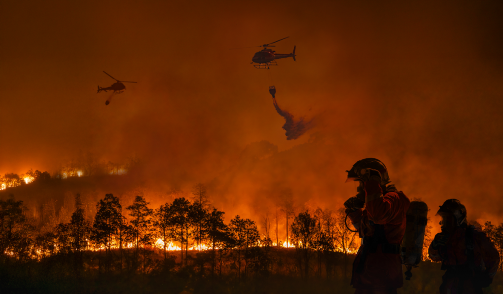 Waldbrand in Nordamerika