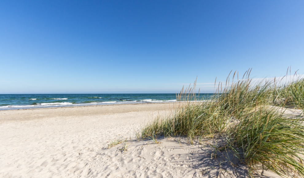 Neue Rekordtemperatur in der Nordsee