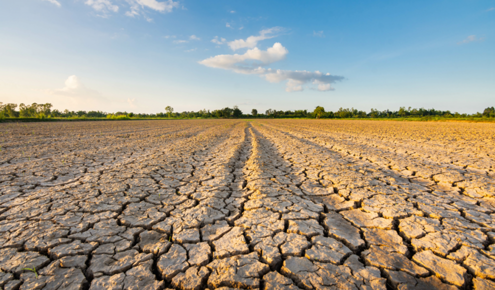 Klimawandel belastet die globale Landwirtschaft