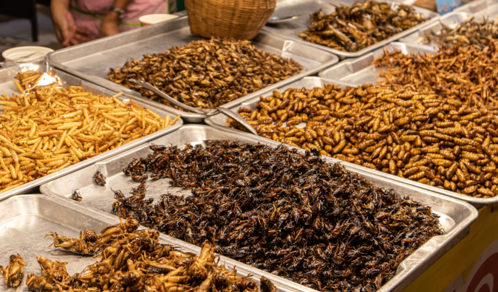 Insekten als gesunde und klimafreundliche Lebensmittel