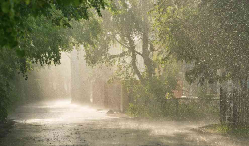 Geruch von Regen