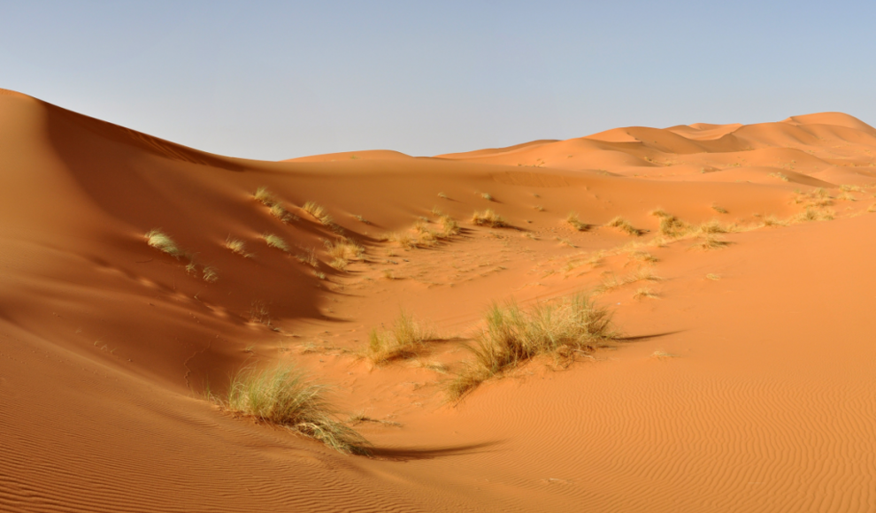 Sahara wird bald deutlich grüner
