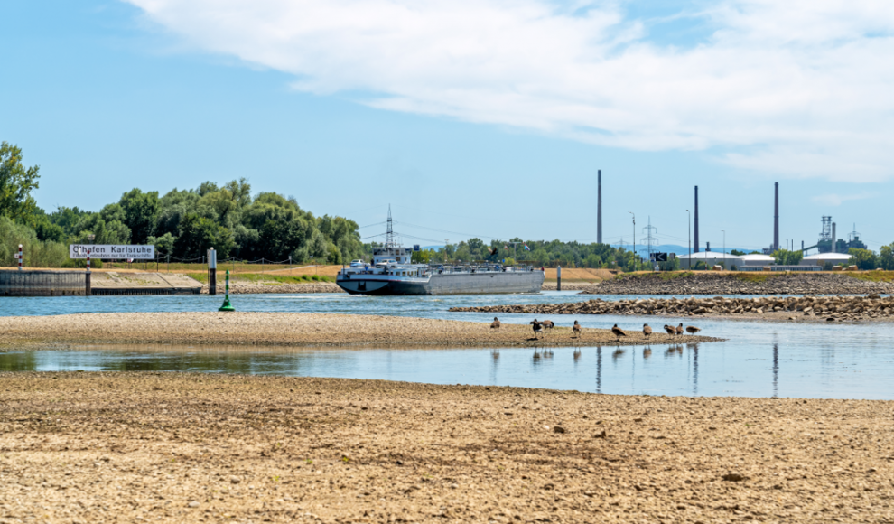 Hitzewelle sorgt für Niedrigwasser des Rheins 