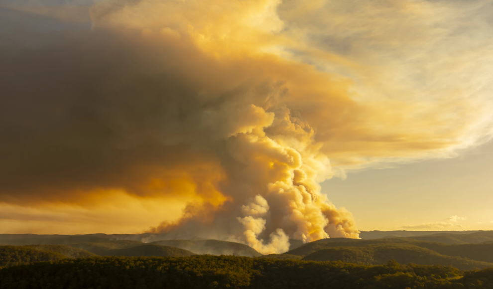 Luftverschmutzung durch einen Waldbrand