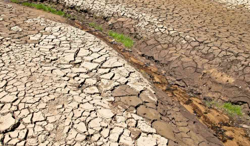 Kombiniertes Hitze-Dürre-Ereignis in Afrika