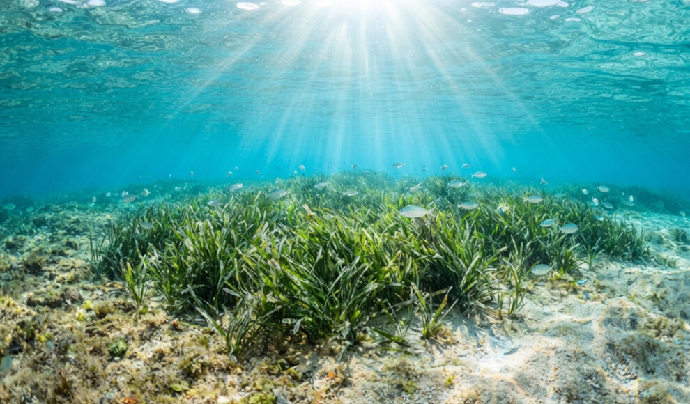 Über 90 Prozent Bestnoten für die Wasserqualität in Spanien