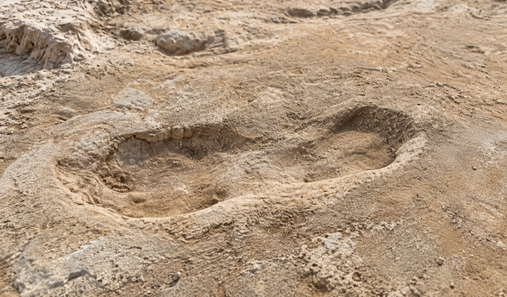 23.000 Jahre alte Fußspuren verraten einen rasanten Klimawechsel