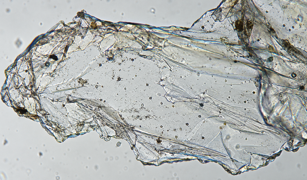 Mikroplastik wird schon im Wasser chemisch aktiv